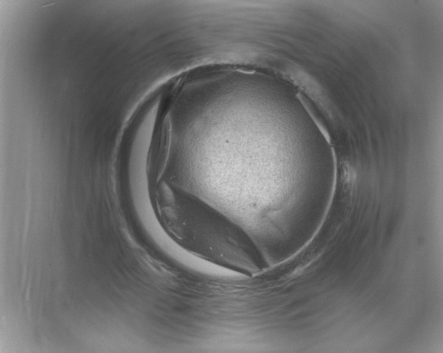 X0000071760676200607220010