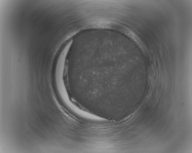 X0000071760677200607220010