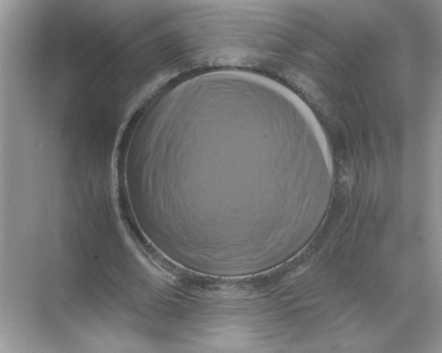 X0000071760678200607220010