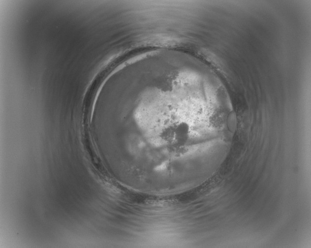 X0000071760679200607220010