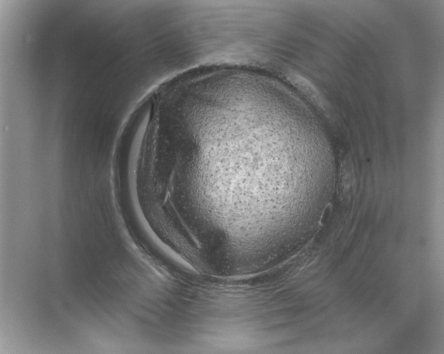 X0000071760680200607220010