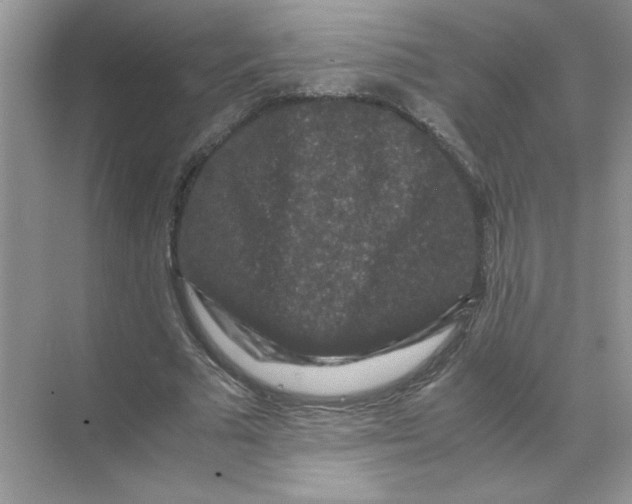 X0000071760681200607220010