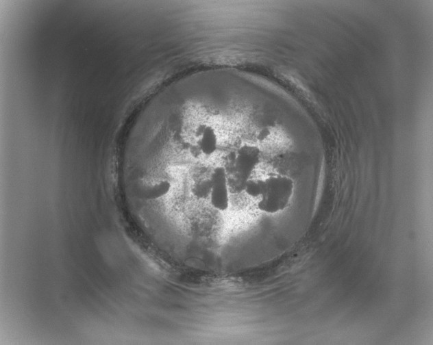 X0000071760683200607220010