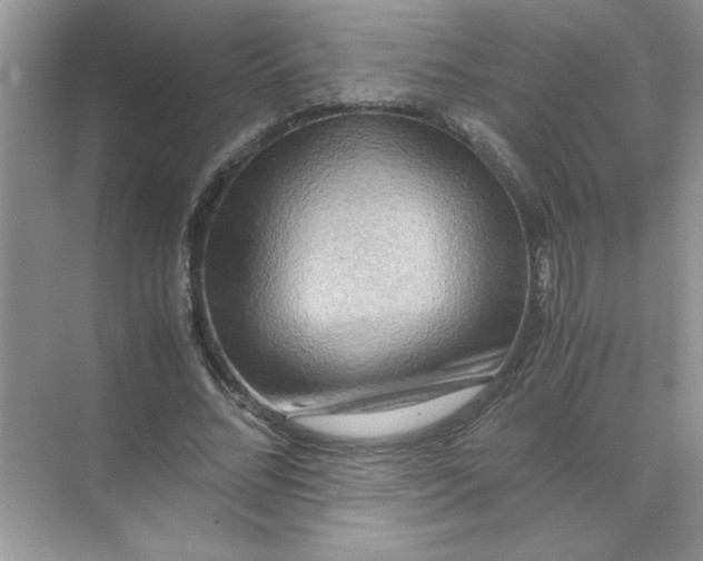 X0000071760684200607220010