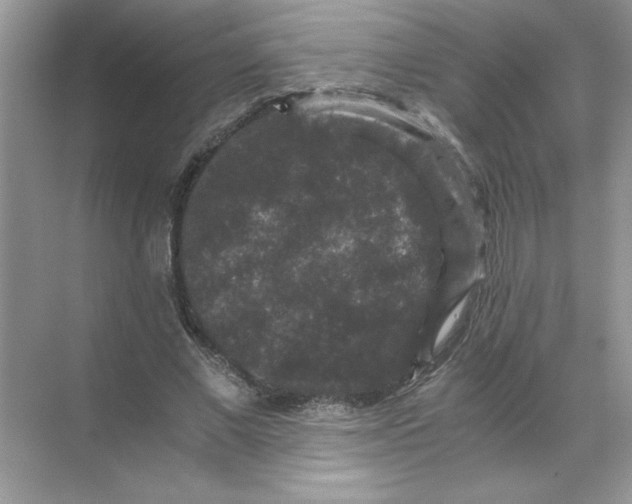 X0000071760685200607220010