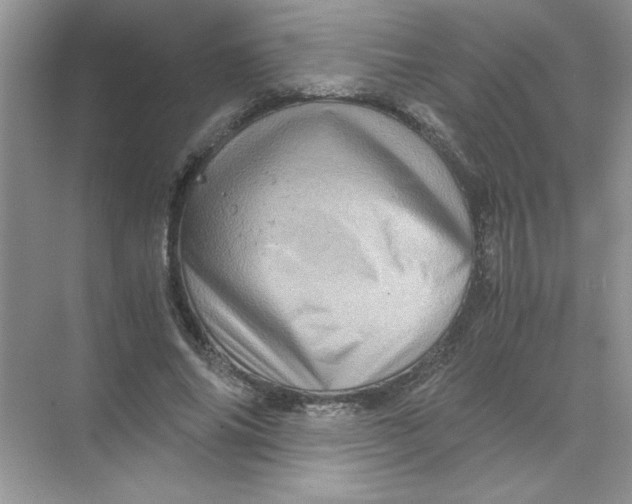 X0000071760686200607220010