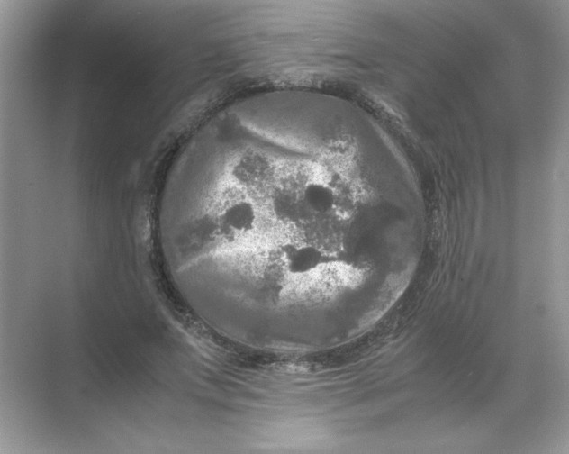 X0000071760687200607220010