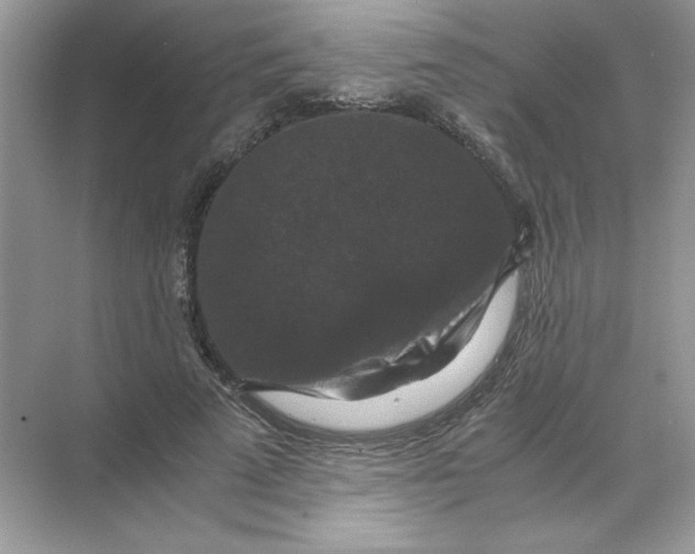 X0000071760689200607220010