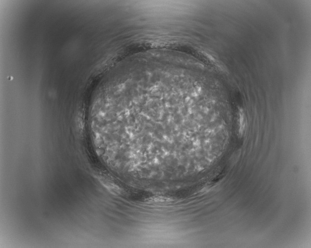 X0000071760691200607220010