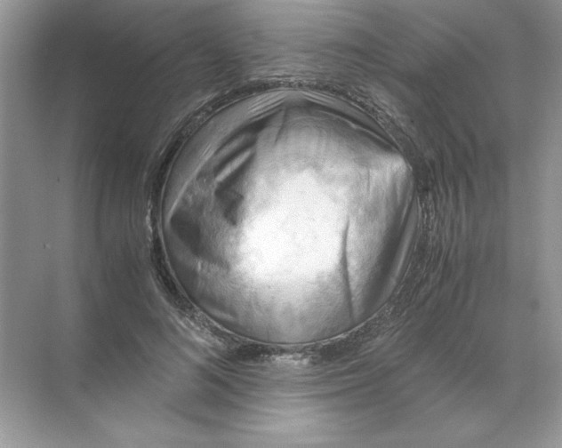 X0000071760692200607220010