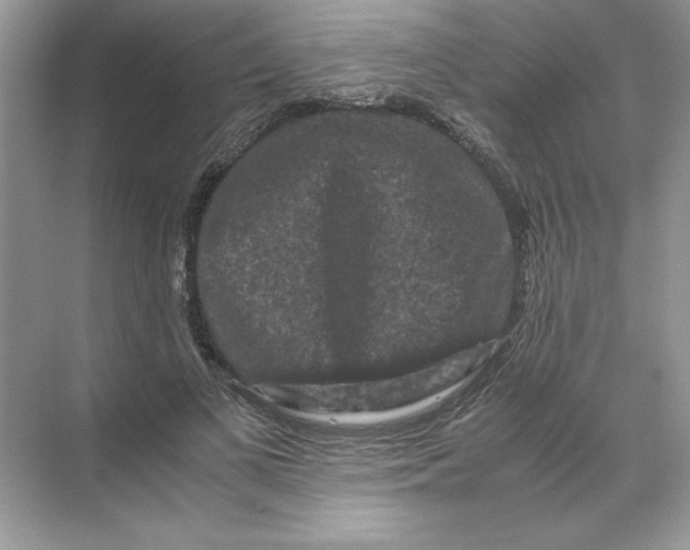 X0000071760693200607220010