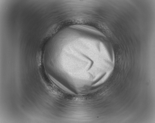 X0000071760694200607220010