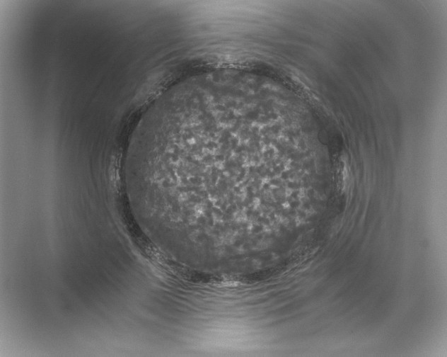 X0000071760695200607220010