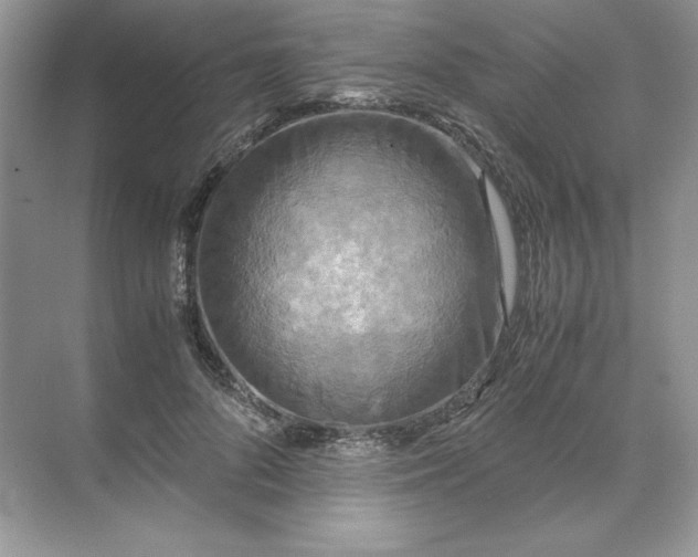 X0000071760696200607220010