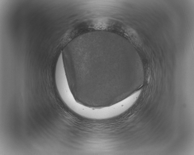 X0000071760697200607220010