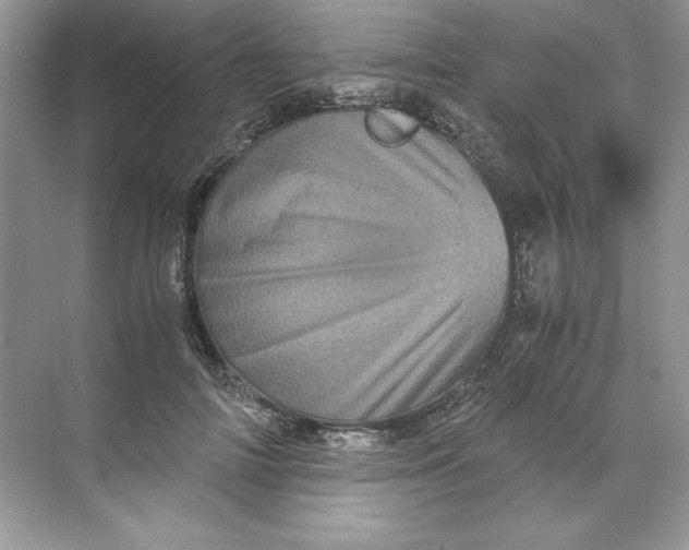 X0000071760698200607220010