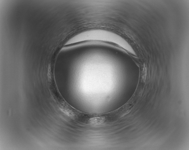 X0000071760700200607220010