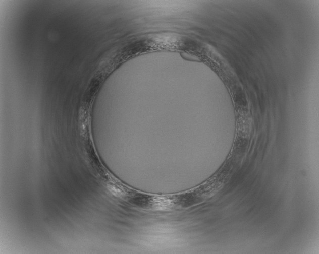 X0000071760701200607220010