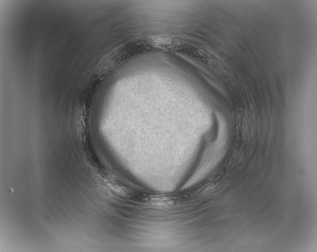 X0000071760702200607220010