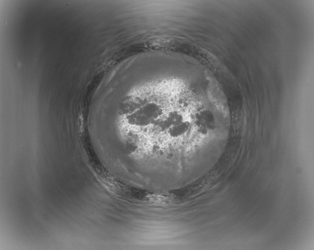 X0000071760703200607220010