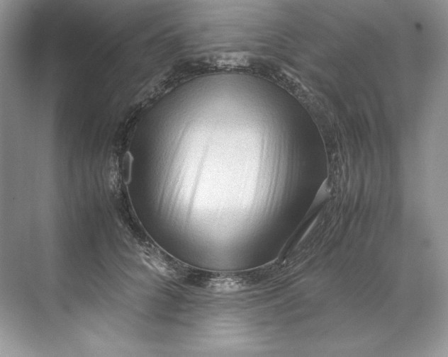 X0000071760704200607220010