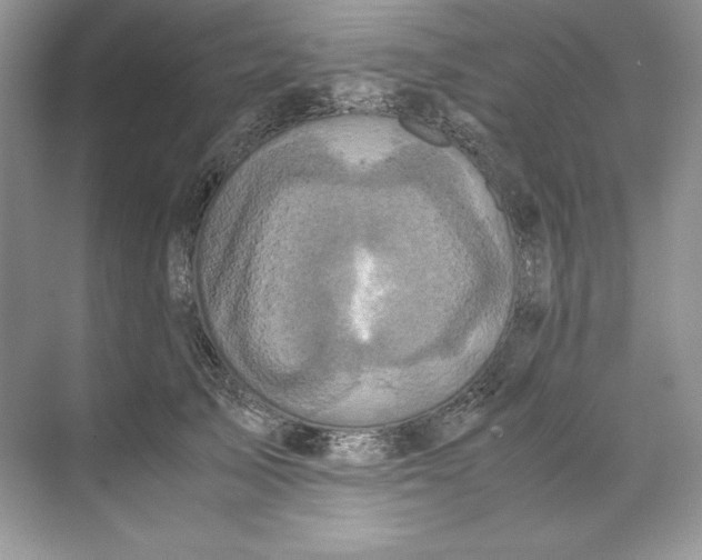 X0000071760705200607220010