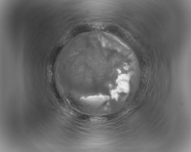 X0000071760707200607220010