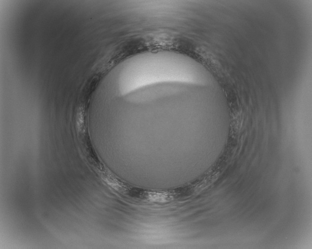 X0000071760709200607220010