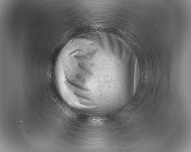 X0000071760710200607220010