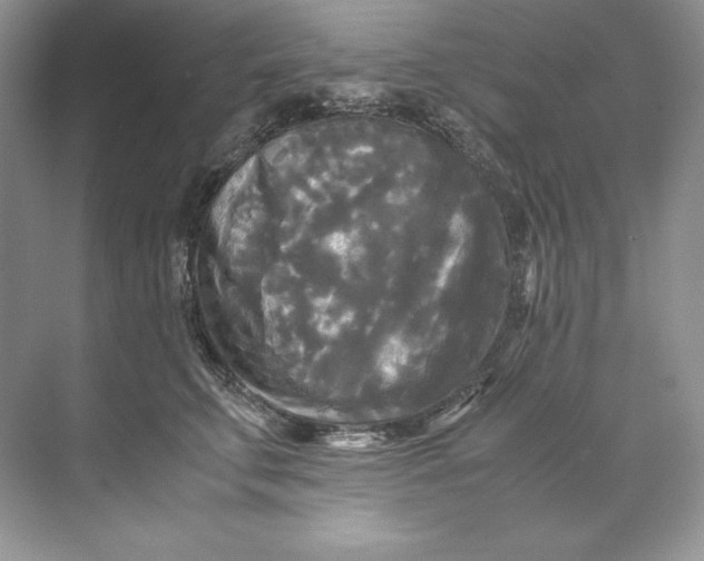 X0000071760711200607220010