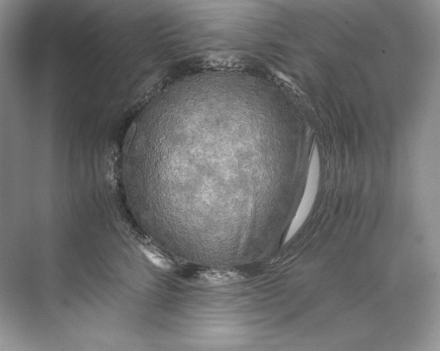 X0000071760712200607220010