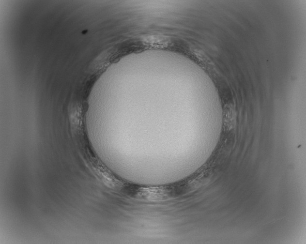 X0000071760713200607220010