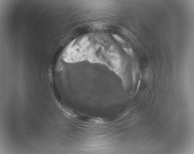 X0000071760715200607220010