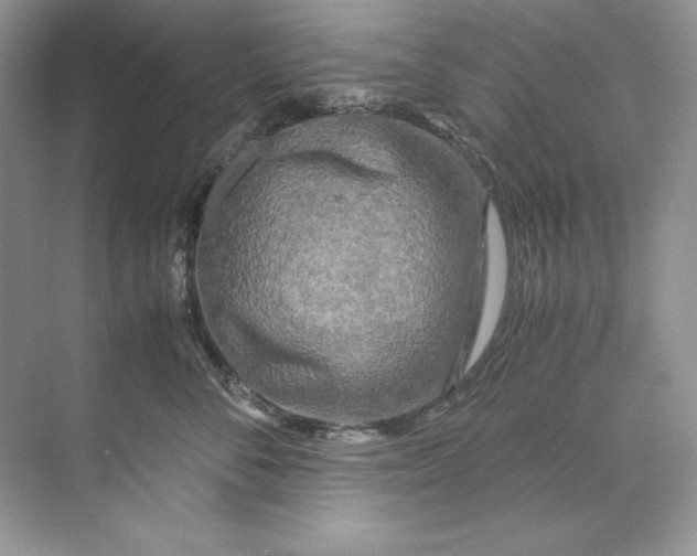 X0000071760716200607220010