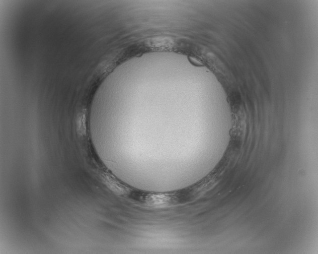 X0000071760717200607220010