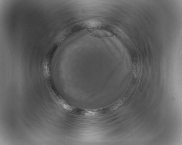 X0000071760718200607220010