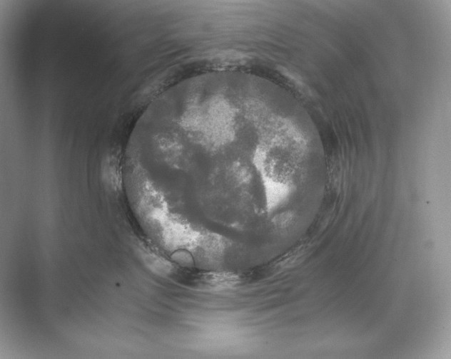 X0000071760719200607220010