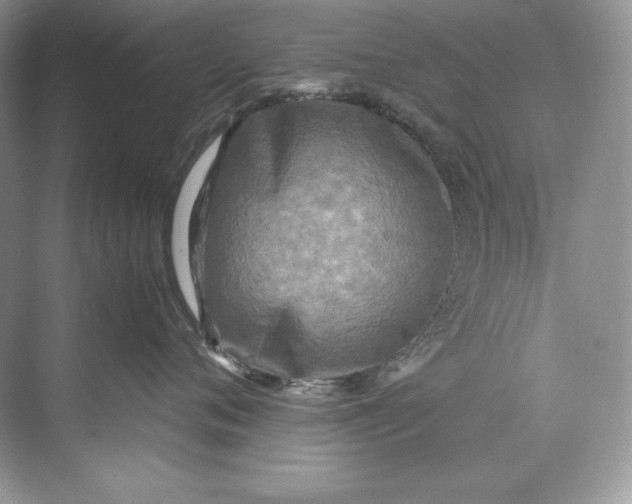 X0000071760720200607220010