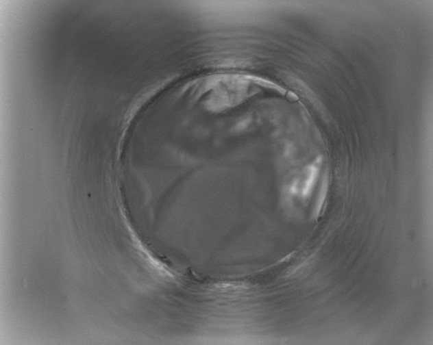 X0000071760721200607220009