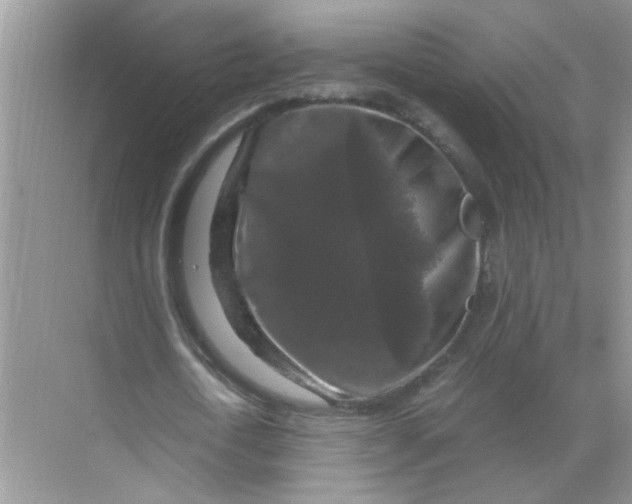 X0000071760722200607220009