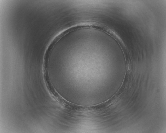 X0000071760724200607220009