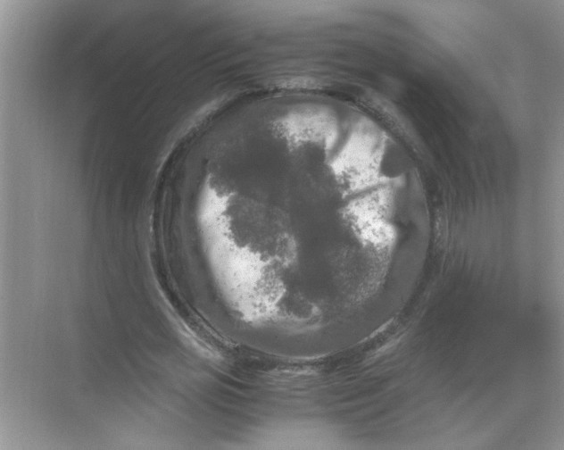 X0000071760725200607220009