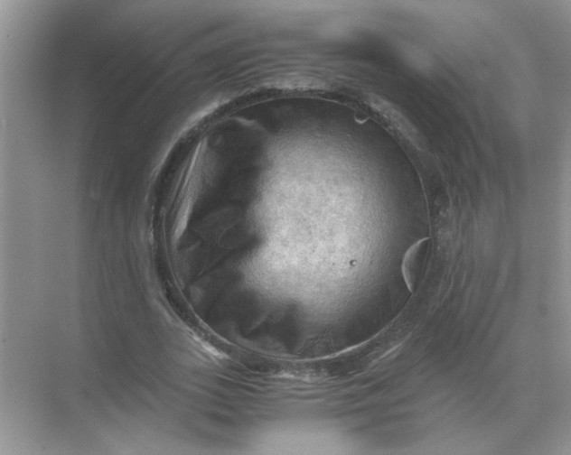 X0000071760727200607220009