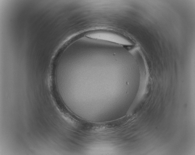 X0000071760728200607220009