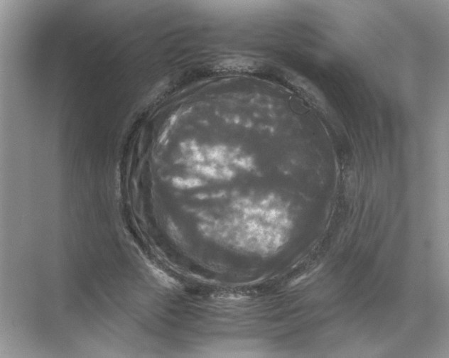 X0000071760729200607220009