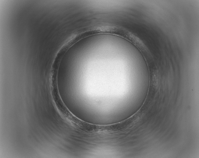 X0000071760730200607220009