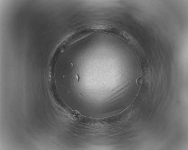 X0000071760731200607220009