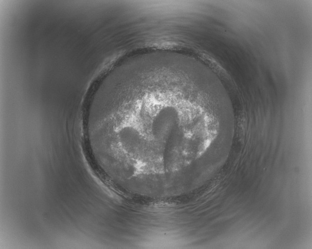 X0000071760734200607220009