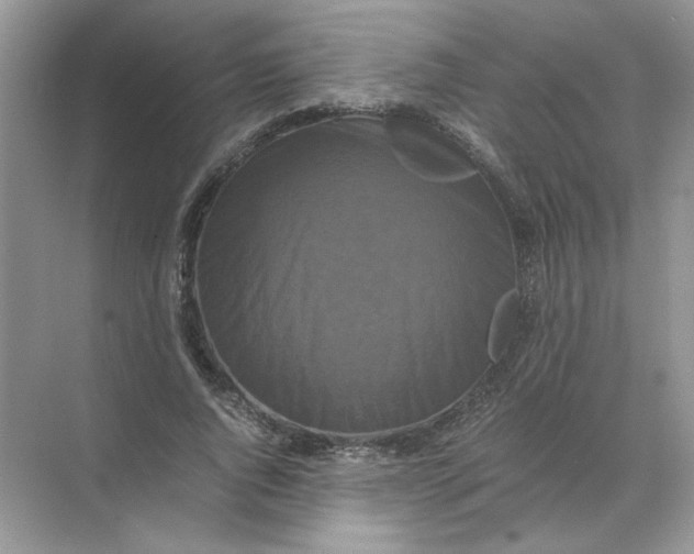 X0000071760736200607220009