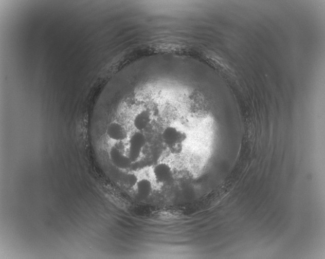 X0000071760737200607220009